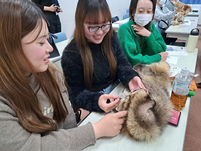 キツネやタヌキ、クマの毛皮を恐る恐る触る学生