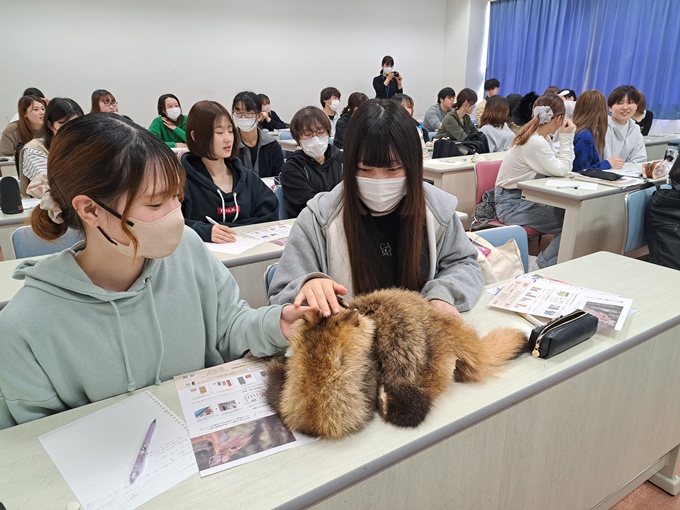 キツネやタヌキ、クマの毛皮を恐る恐る触る学生