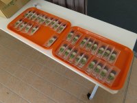 石谷精華堂さんより打吹公園だんごをいただきました！
